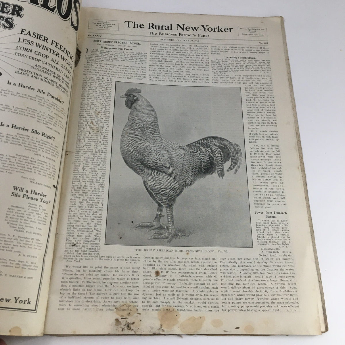 Interior page of The Rural New Yorker Magazine January 30, 1915 featuring an illustration of the Great American Bird Plymouth Rock.