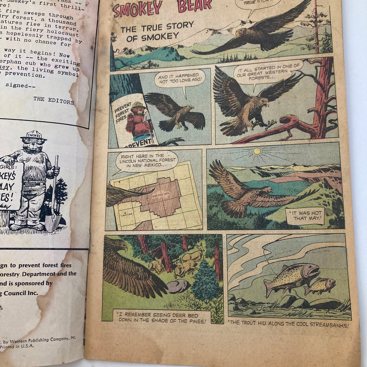 Interior page from VTG 1969 The True Story of Smokey the Bear Issue #1 Comic Book showing comic panels with Smokey Bear's adventures in the forest.