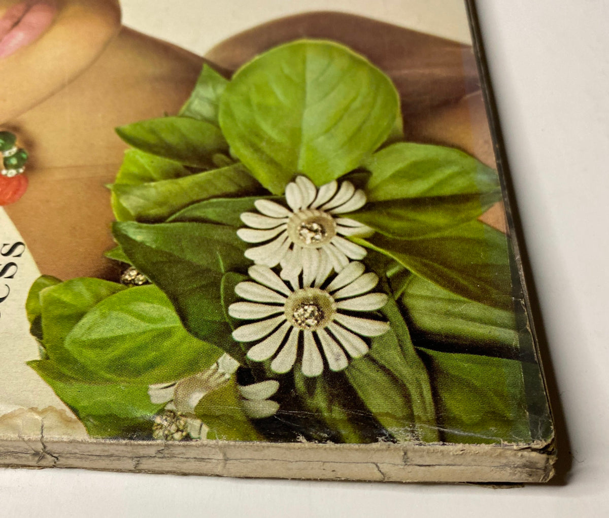 Detail of foliage and floral embellishments from the cover of Vogue Magazine January 1, 1966 featuring vibrant botanical elements alongside the title.