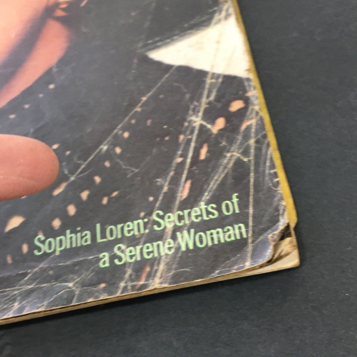Close-up of the VTG Journal Magazine January 1971 with the feature 'Sophia Loren: Secrets of a Serene Woman'.