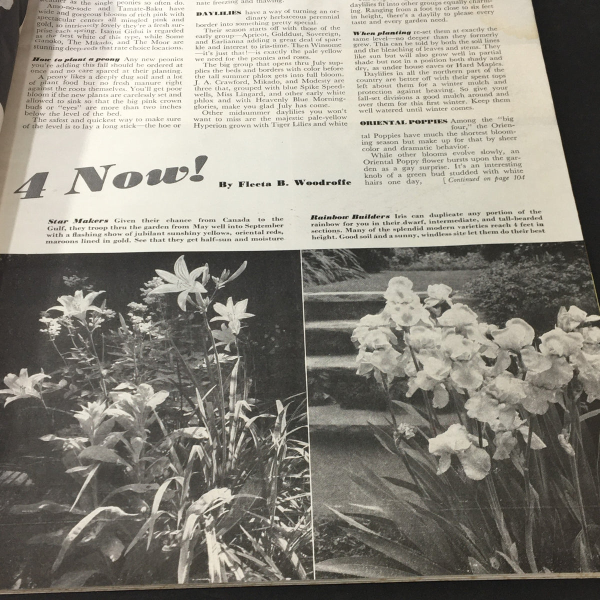 Page from VTG Better Homes & Gardens October 1940 Vol 19 #2 displaying black and white photographs of flowers, discussing gardening tips and houseplants.