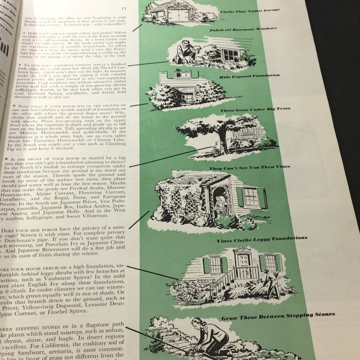 Vintage Better Homes & Gardens Vol 19 #5 January 1941 Bargains for Your Linen Closet