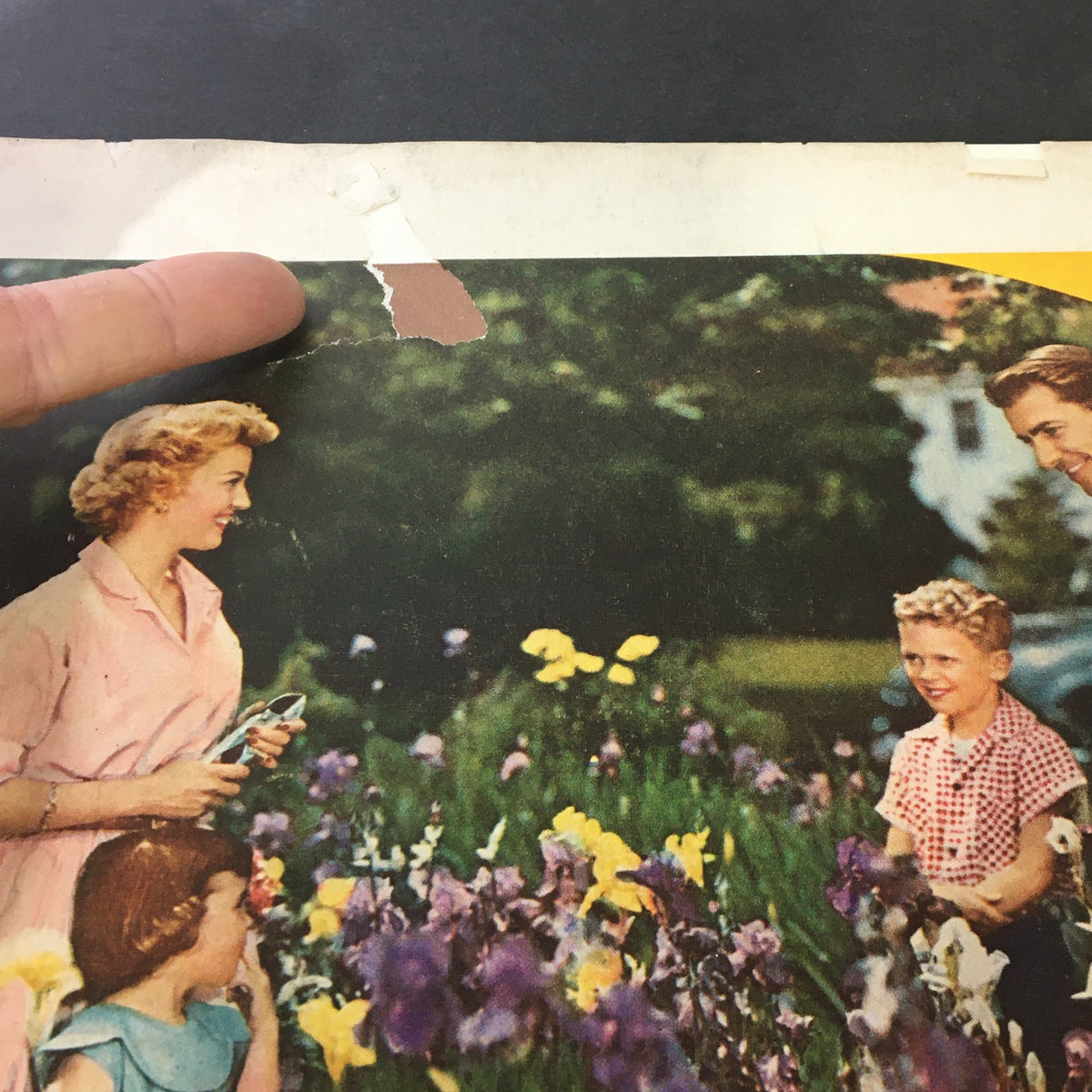 Close-up of the back cover of The Saturday Evening Post April 10, 1951 highlighting Kodak film details and a family enjoying photography.