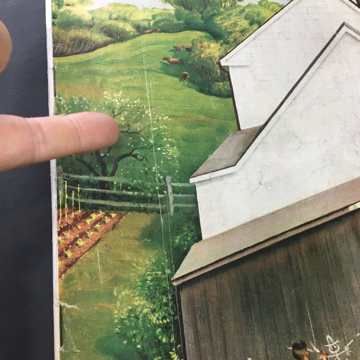 Image from VTG The Saturday Evening Post June 23 1956 shows a scenic countryside with a farm, a pointed finger illustrating a tree and animal in the background.