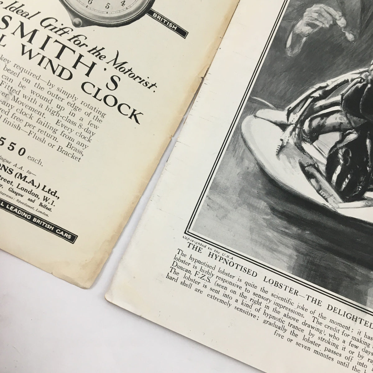 The Sphere Newspaper December 25 1920 featuring a detailed illustration of 'The Hypnotised Lobster', a unique scientific joke article.