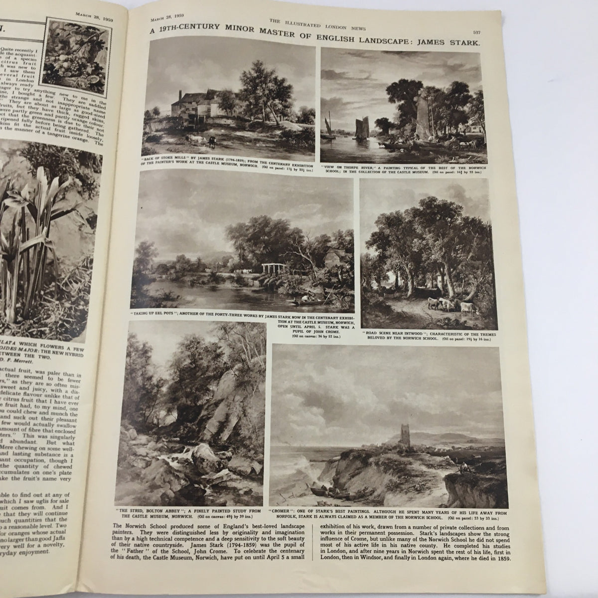 An interior page from The Illustrated London News March 28, 1959, titled 'A 19th-Century Minor Master of English Landscape: James Stark,' showcasing various landscape artworks.