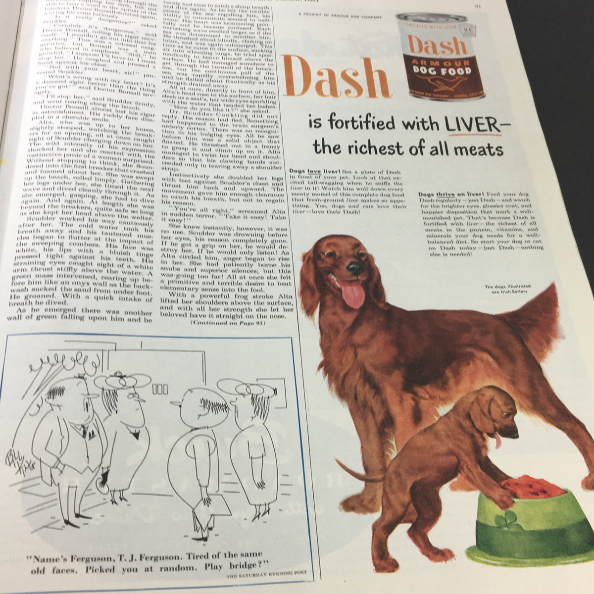 Ad for Dash Dog Food in VTG The Saturday Evening Post September 9 1950, featuring a golden retriever and puppy beside a dog food can. Emphasizes health benefits of liver-based dog food.