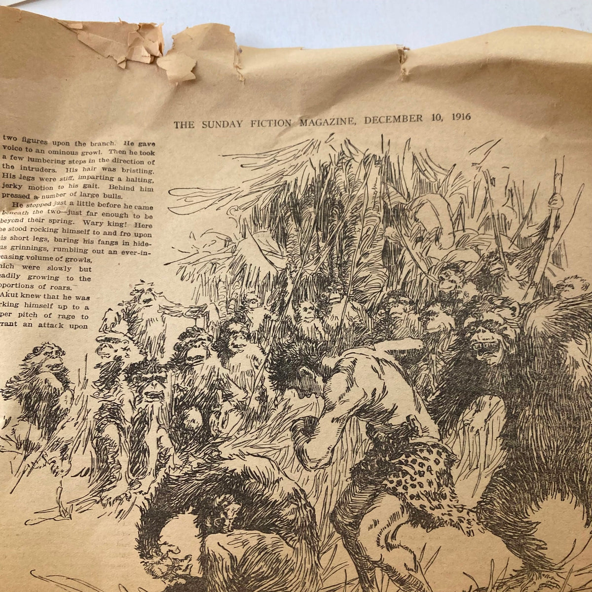 Illustration from the vintage The Sunday Fiction Magazine December 10 1916 depicting a dramatic scene with figures amidst a jungle setting.