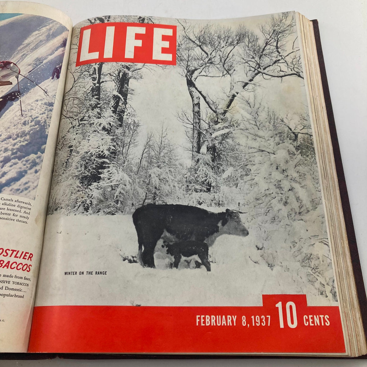 VTG 1936 1937 First Issue Bound Life Magazine cover depicting a calf and cow in a snowy landscape, titled 'Winter on the Range', dated February 8, 1937.