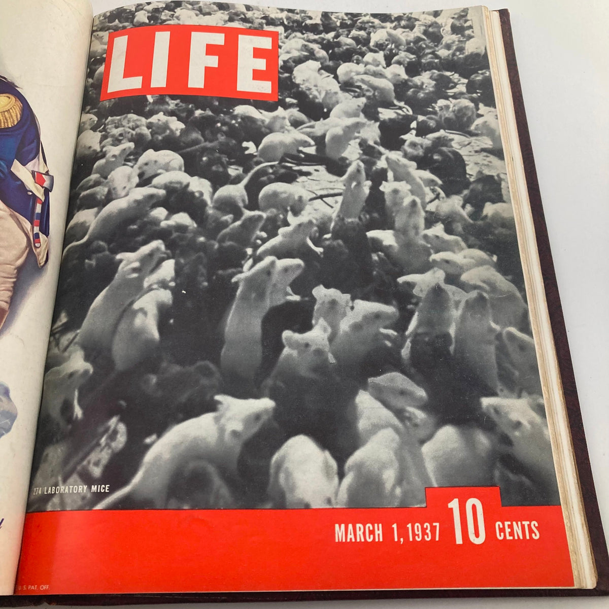 Cover of the VTG 1936-1937 First Issue Bound Life Magazine featuring laboratory mice, dated March 1, 1937.