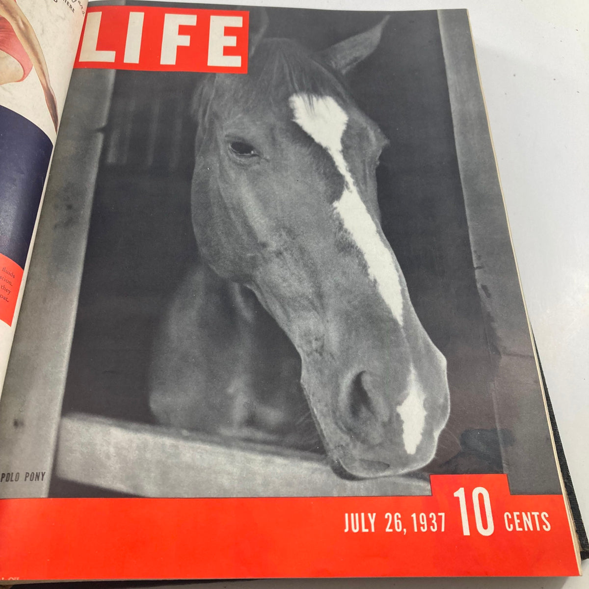 Cover of VTG 1937 Bound Life Magazine July 26 featuring a close-up of a Polo Pony, highlighting vintage equestrian culture.