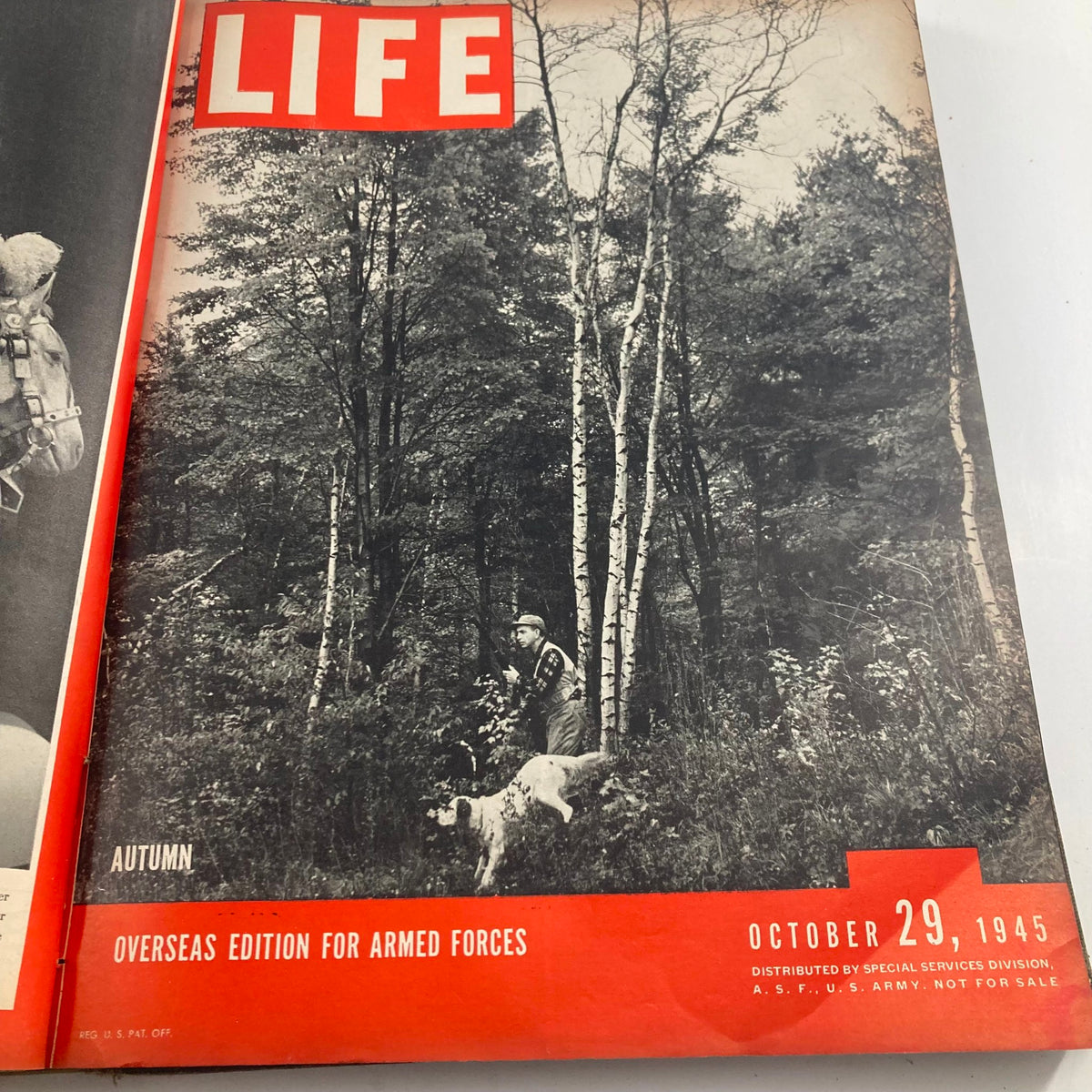 Cover of VTG 1945 Bound Life Magazine, October 29, showcasing a hunter in autumnal woods with a dog.
