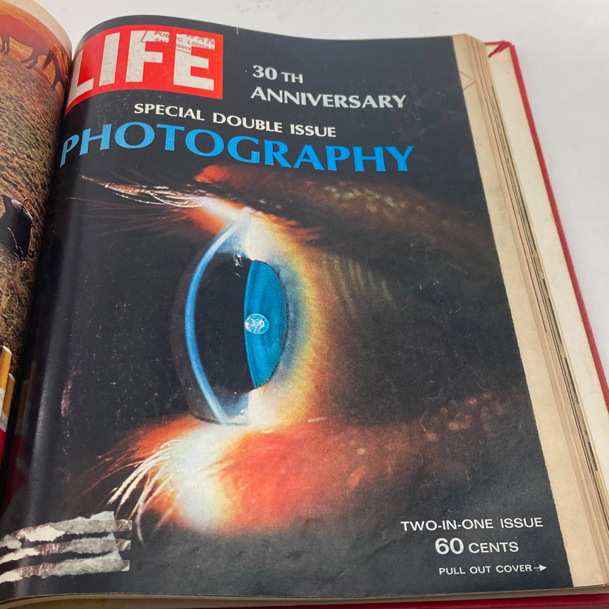 Special double issue cover of the VTG 1966 Bound Life Magazine celebrating its 30th Anniversary with a focus on photography, showcasing a striking image.