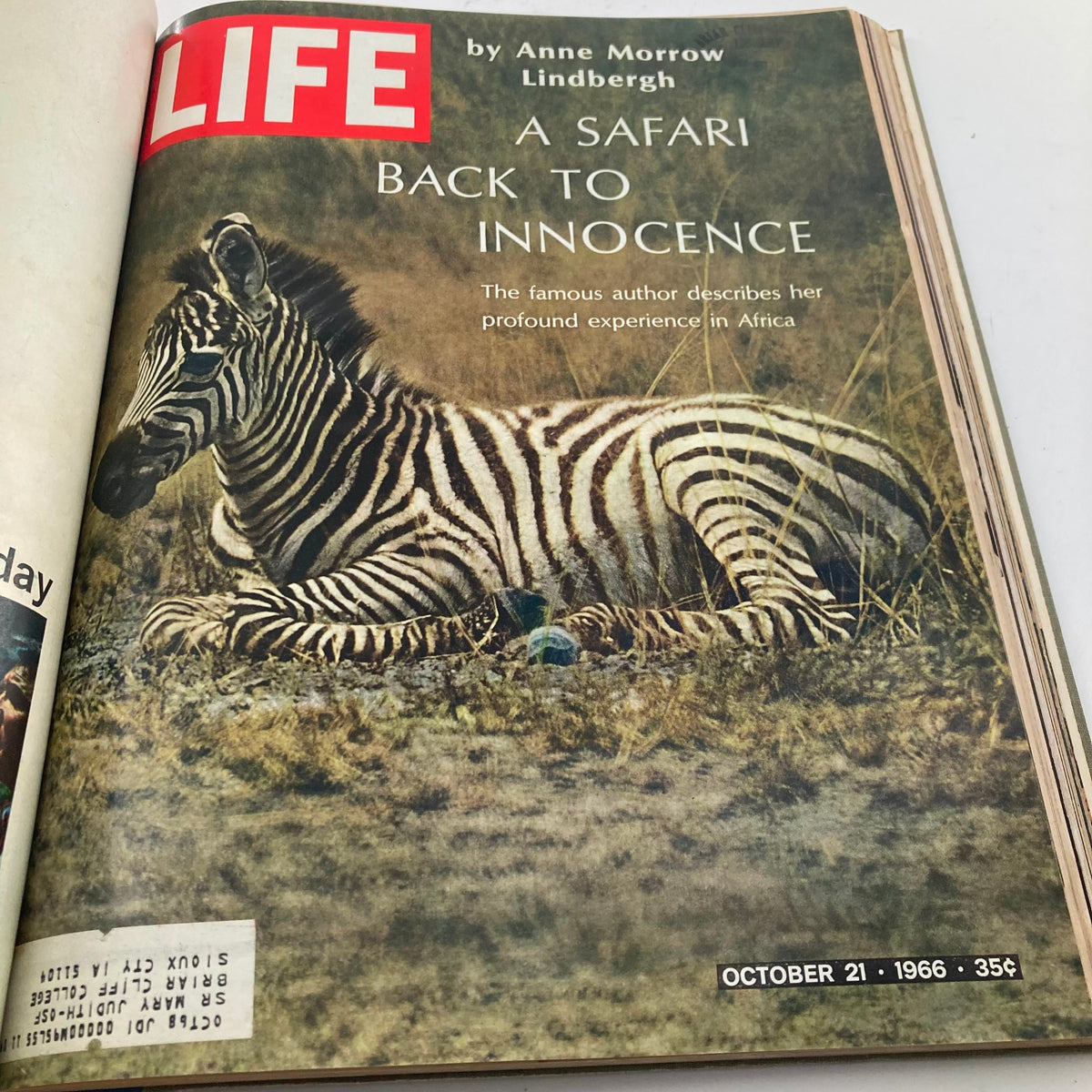 Cover of the VTG 1966 Bound Life Magazine featuring a zebra and the article by Anne Morrow Lindbergh titled 'A Safari Back to Innocence' dated October 21, 1966.