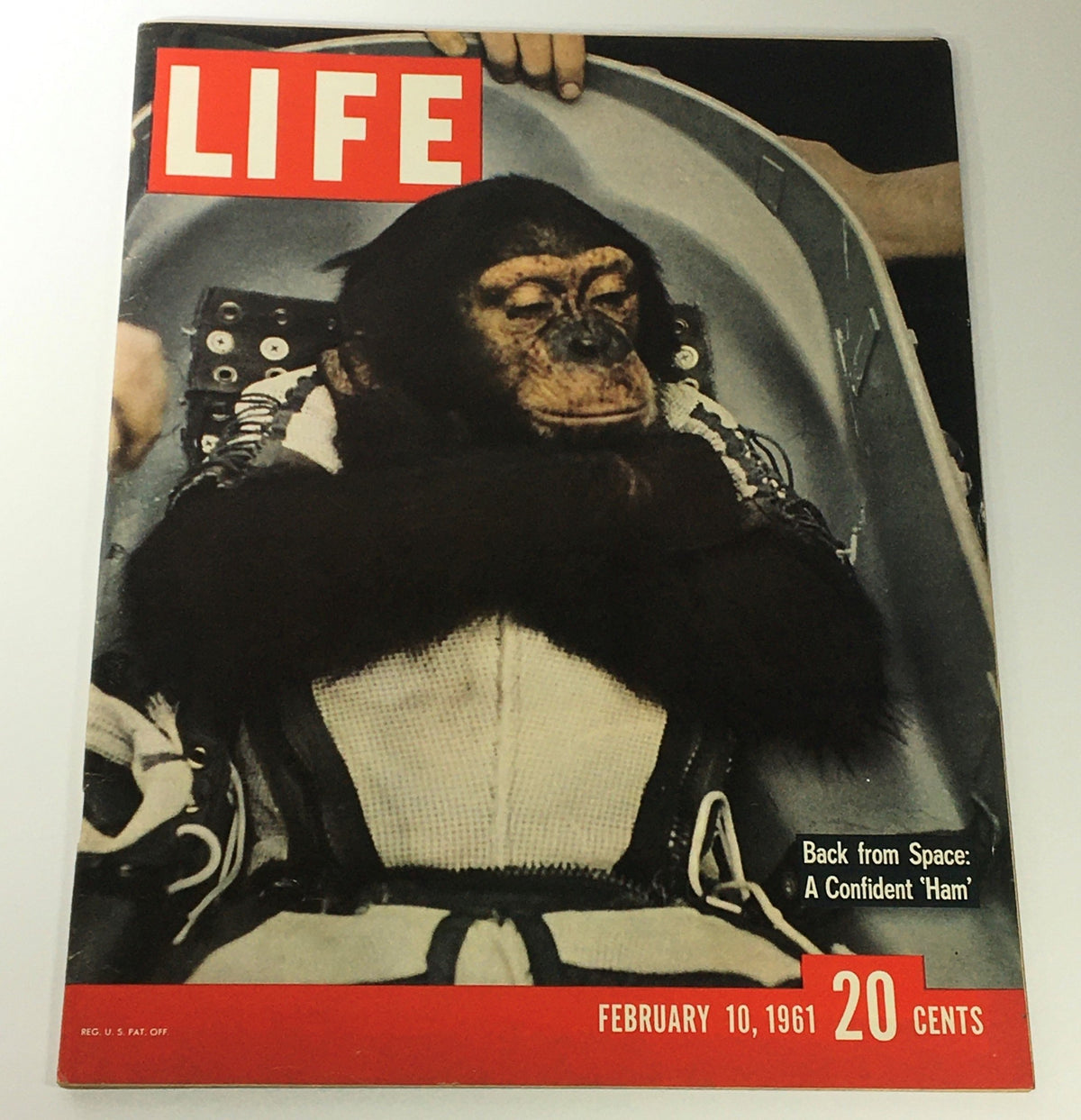 VTG Life Magazine February 10 1961 cover featuring a confident chimpanzee named Ham, the first animal to be launched into space, highlighting the theme "Back From Space: A Confident Ham."