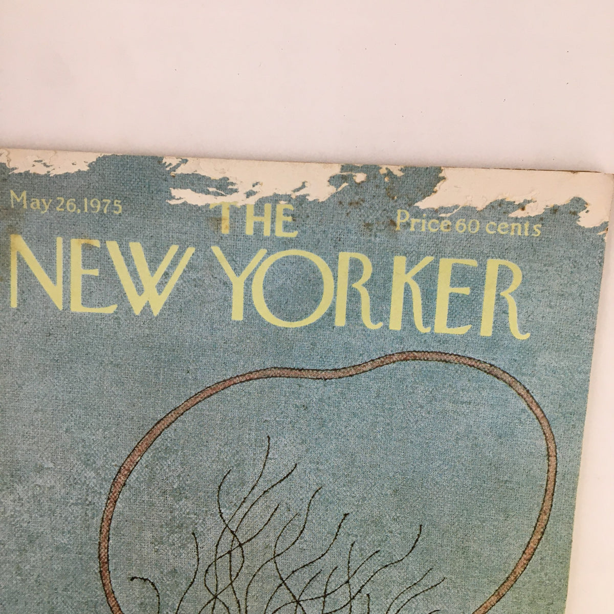 Close-up of the cover title of The New Yorker Magazine, dated May 26, 1975, highlighting the whimsical cover illustration of a little girl with a jumping rope.