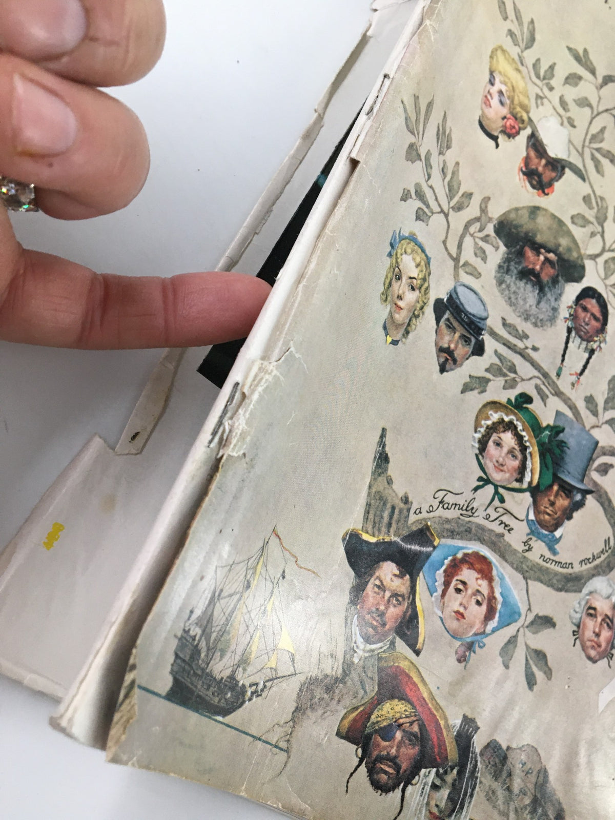 Close-up view of the cover of The Saturday Evening Post from October 24, 1959, showing the family tree illustration and a glimpse of the magazine's edge.