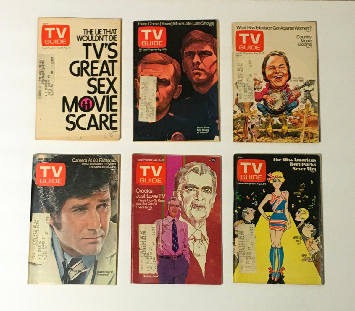 Collection of six TV Guide magazines from 1973 showcasing different cover stories, such as 'TV's Great Sex Movie Scare', included in the complete year collection of TV Guide magazines.