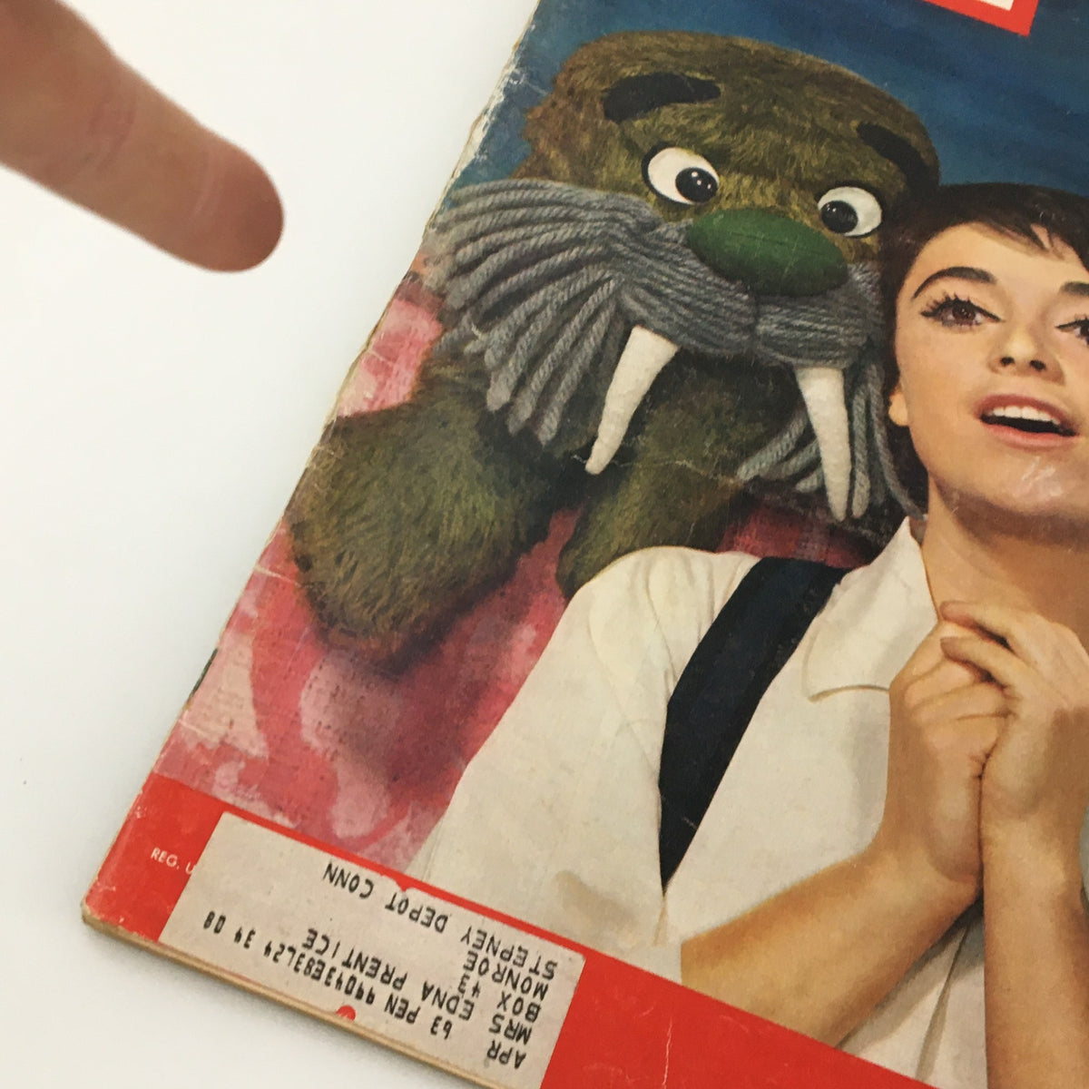 Cover of VTG Life Magazine May 5 1961 featuring Anna Maria Alberghetti and a playful walrus character, showcasing the Broadway debut theme.