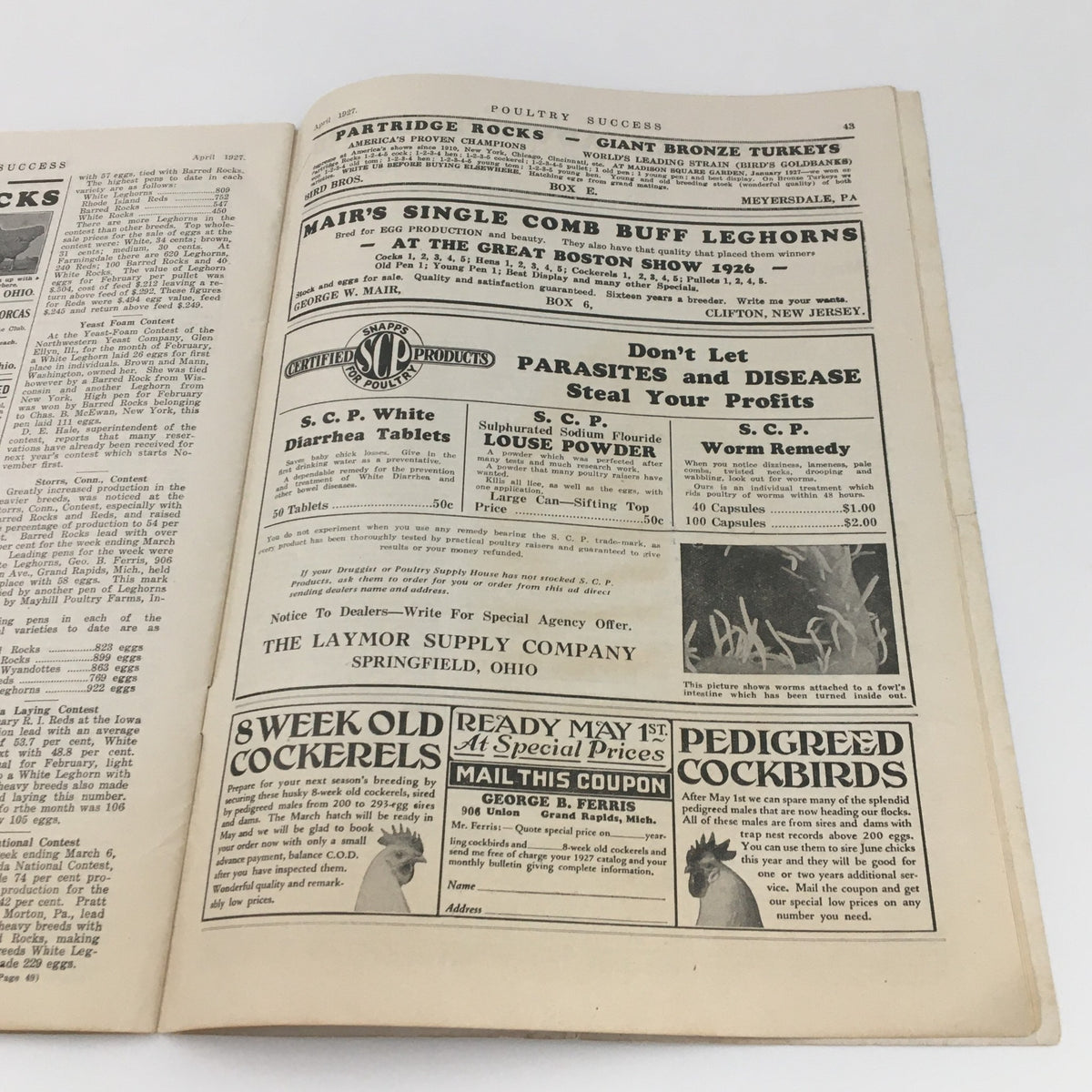 Interior page of VTG Poultry Success Magazine April 1927 displaying advertisements for poultry breeds and supplies, reflecting the vintage appeal.