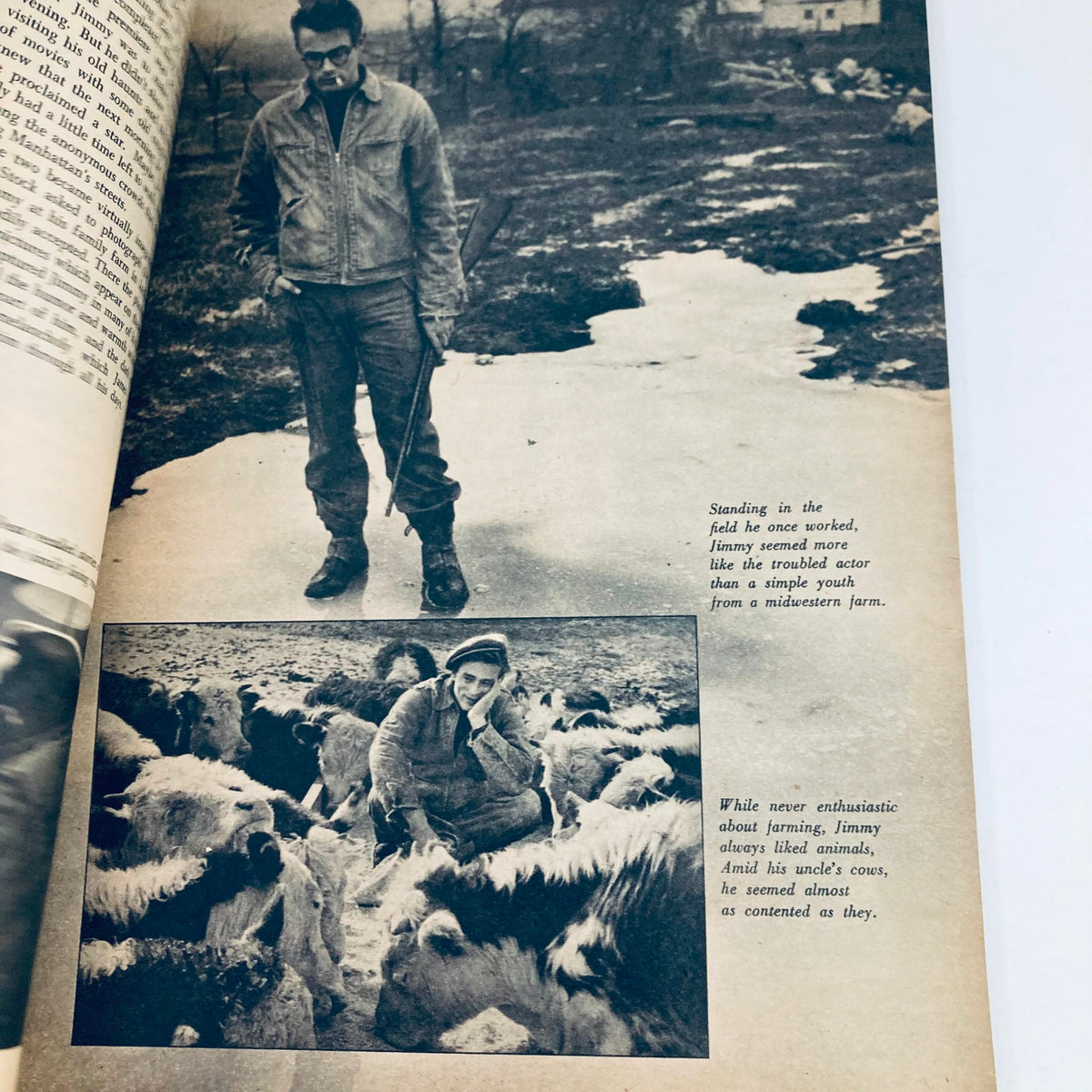 Inside page of VTG 1956 James Dean Official Anniversary Book featuring black and white images depicting James Dean on a farm and interacting with livestock.