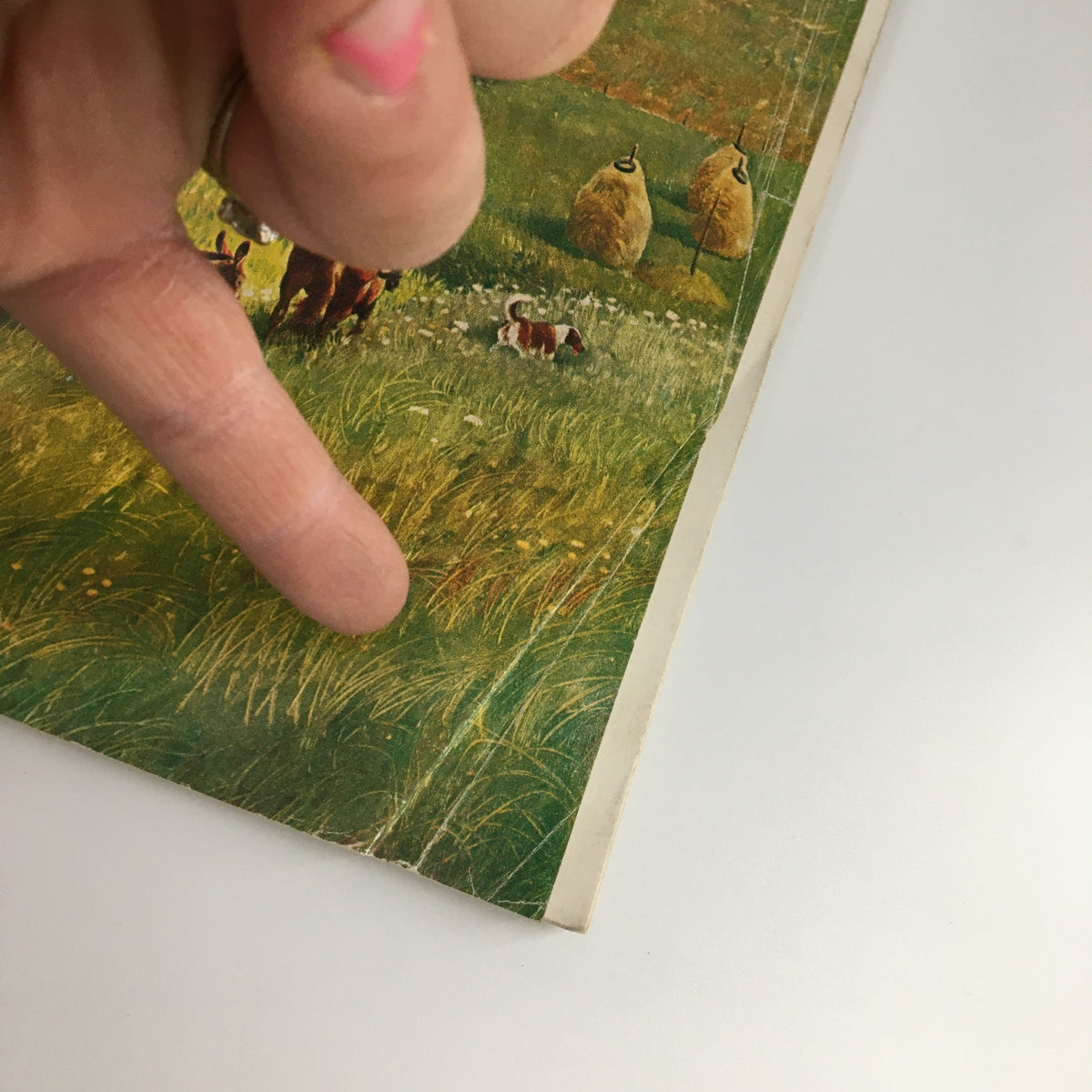Close-up of the bottom corner of The Saturday Evening Post October 10, 1959 magazine, emphasizing the details of the cover including the grassy landscape and a small dog, showcasing the condition of the vintage publication.