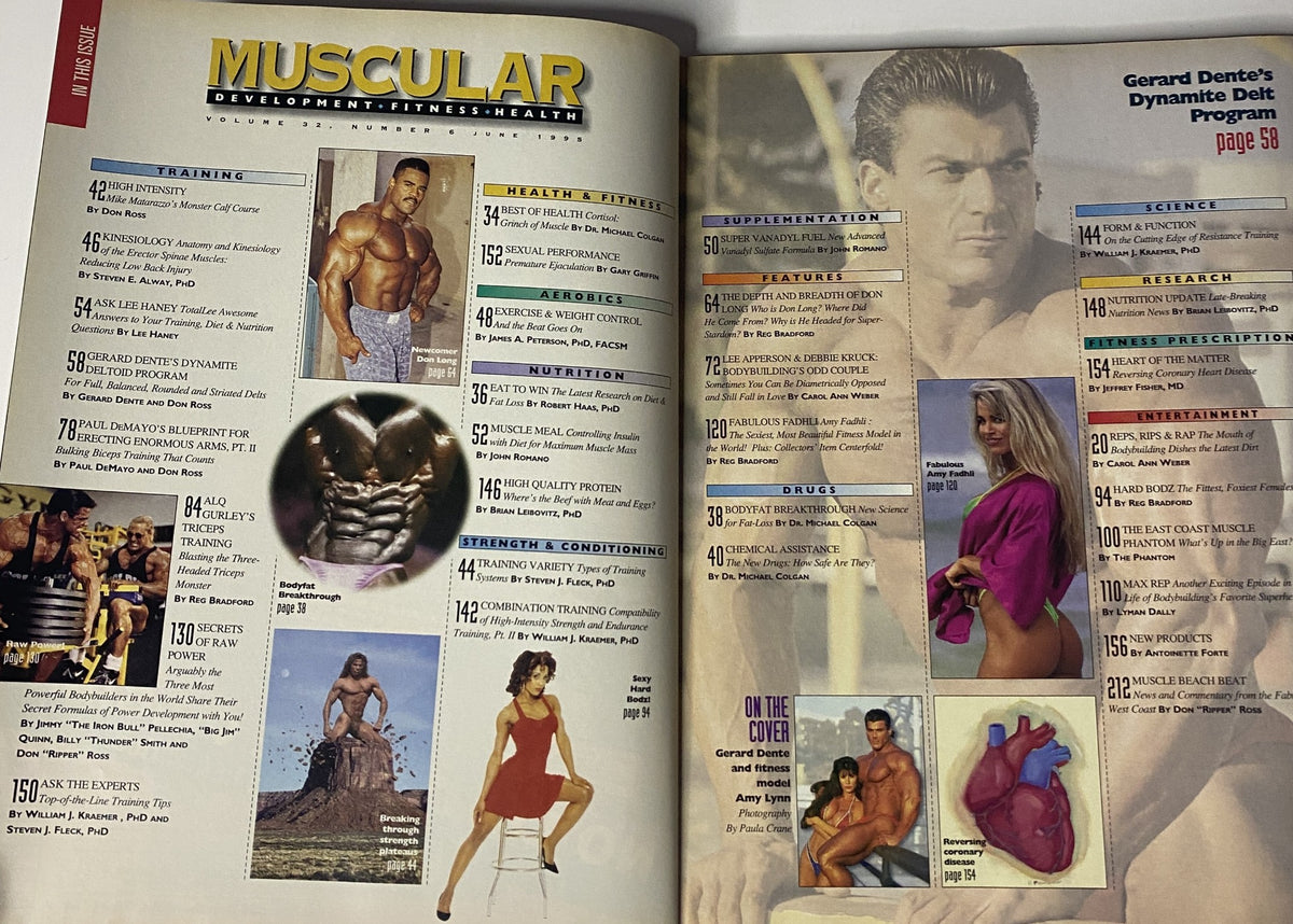 Interior page of Muscular Development Magazine June 1995, featuring Gerard Dente's Dynamite Delt Program and various health-related articles.