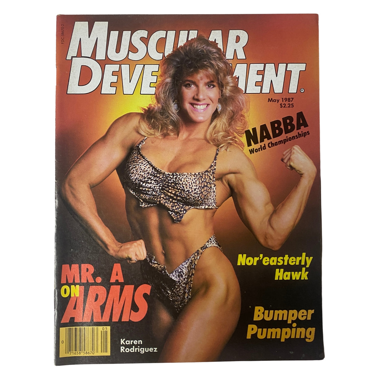 Cover of Muscular Development Magazine May 1987 featuring Karen Rodriguez in a leopard print bikini, showcasing her physique with a flexed arm, highlighting the theme 'Mr. A on Arms,' and notable topics like 'Nor'easterly Hawk' and 'Bumper Pumping.'