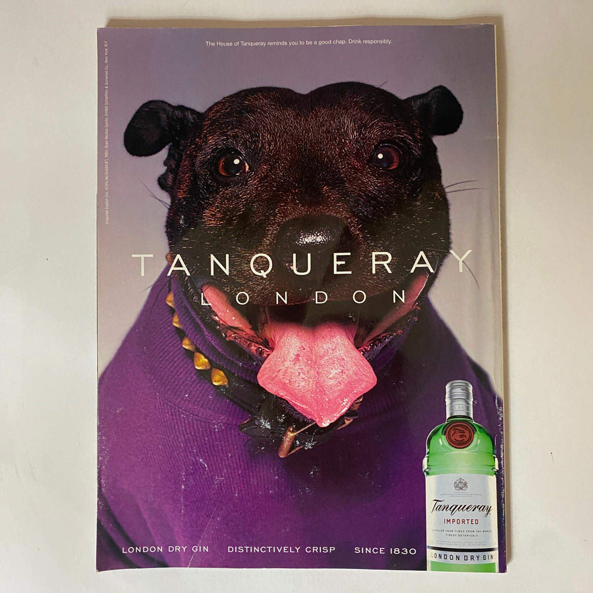 Cover of a magazine featuring an adorable dog with a playful expression, highlighting the brand Tanqueray London Dry Gin, illustrating a distinct and engaging advertisement.