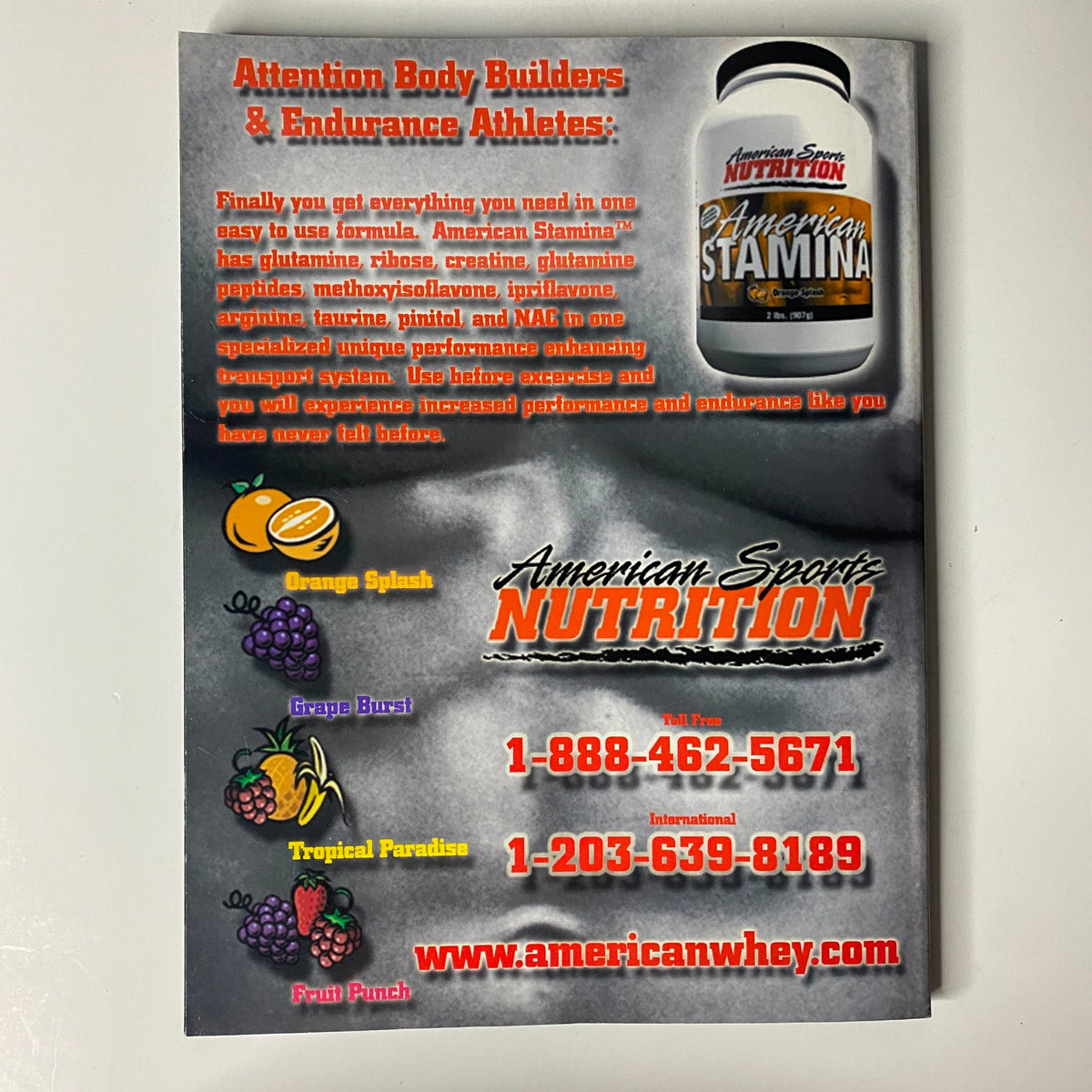 Promotional advertisement for American Sports Nutrition featuring 'American Stamina' supplement, highlighting benefits for bodybuilders and endurance athletes, with contact information for inquiries. This image accompanies the May 2003 issue of Muscular Development Magazine featuring Dana Hamm.