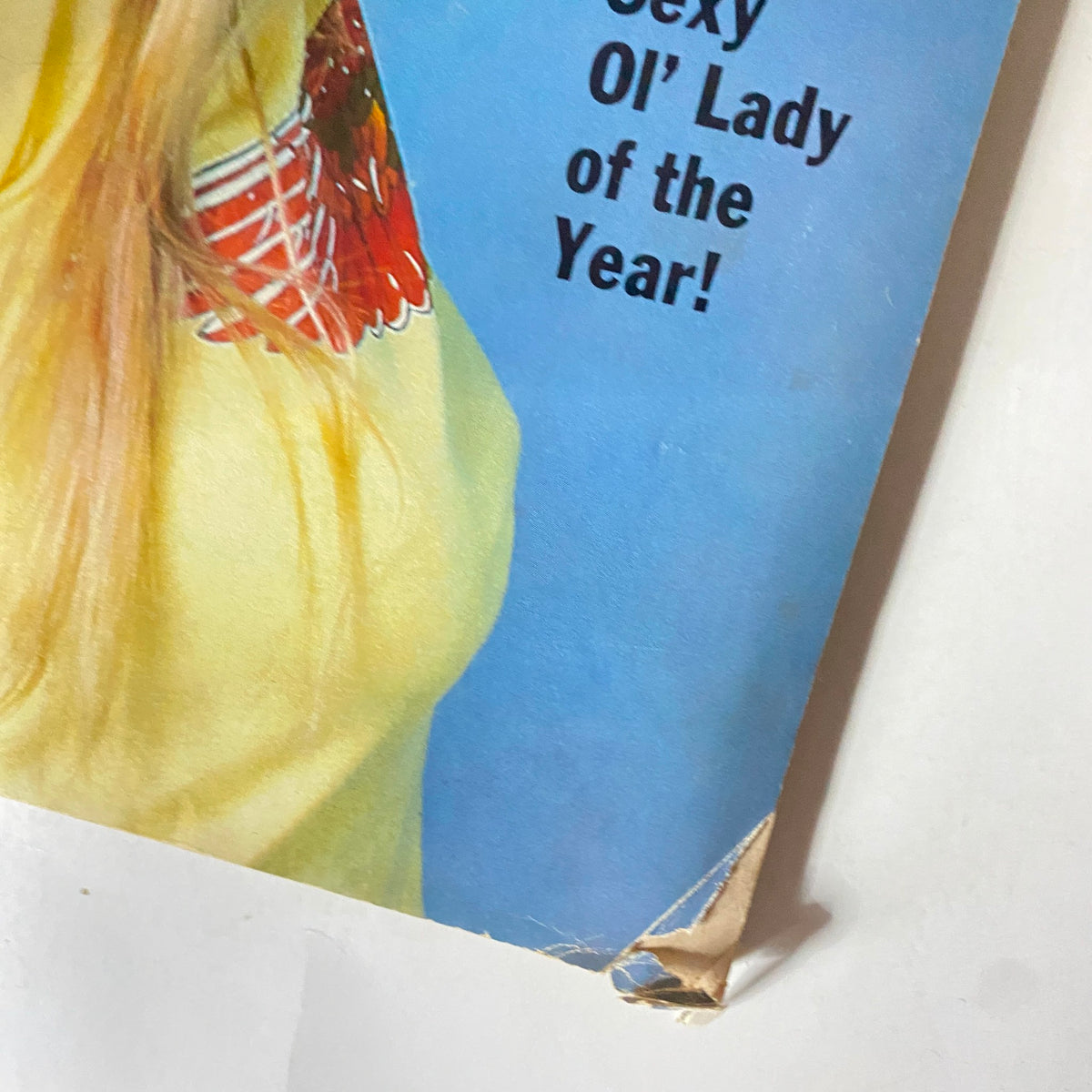 Close-up of the cover of the VTG Easyriders Magazine November 1982, emphasizing the text 'Sexy Ol' Lady of the Year!' and the model's vintage hairstyle.