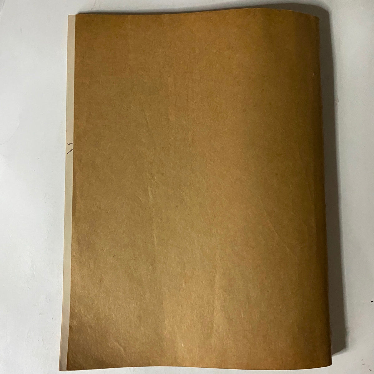 Back cover of the VTG Easyriders Magazine September 1983, featuring a simple brown design, part of the collectible motorcycle culture edition titled 'Helmet Fight Continues'.