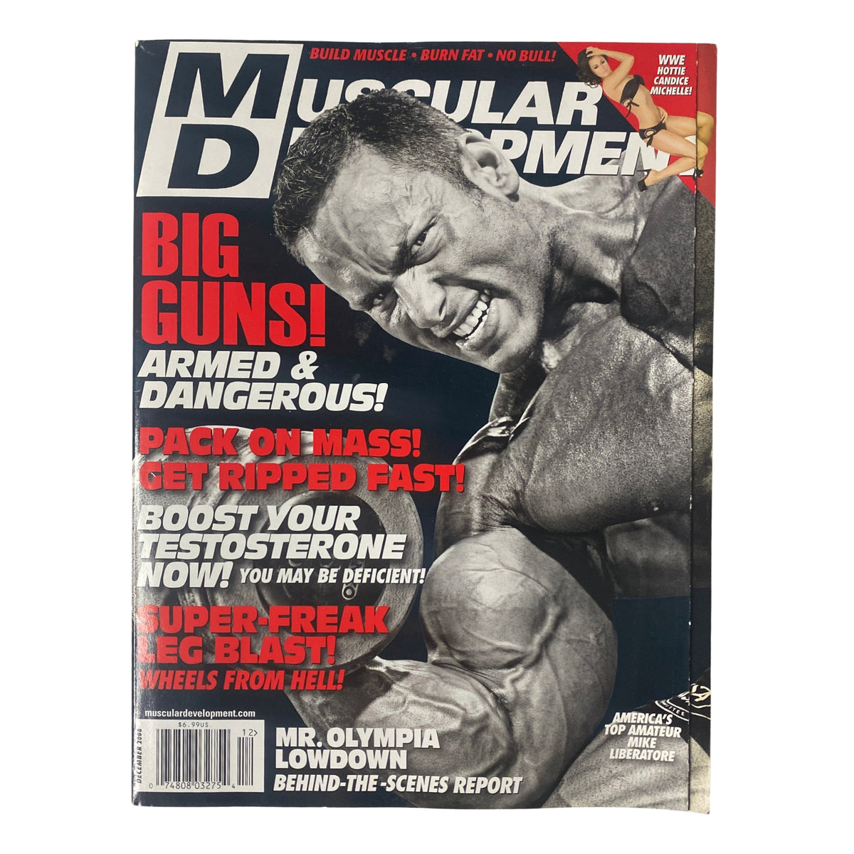 Cover of Muscular Development Magazine December 2008 featuring Mike Liberatore with the headline 'Big Guns! Armed & Dangerous!' showcasing bodybuilding tips.