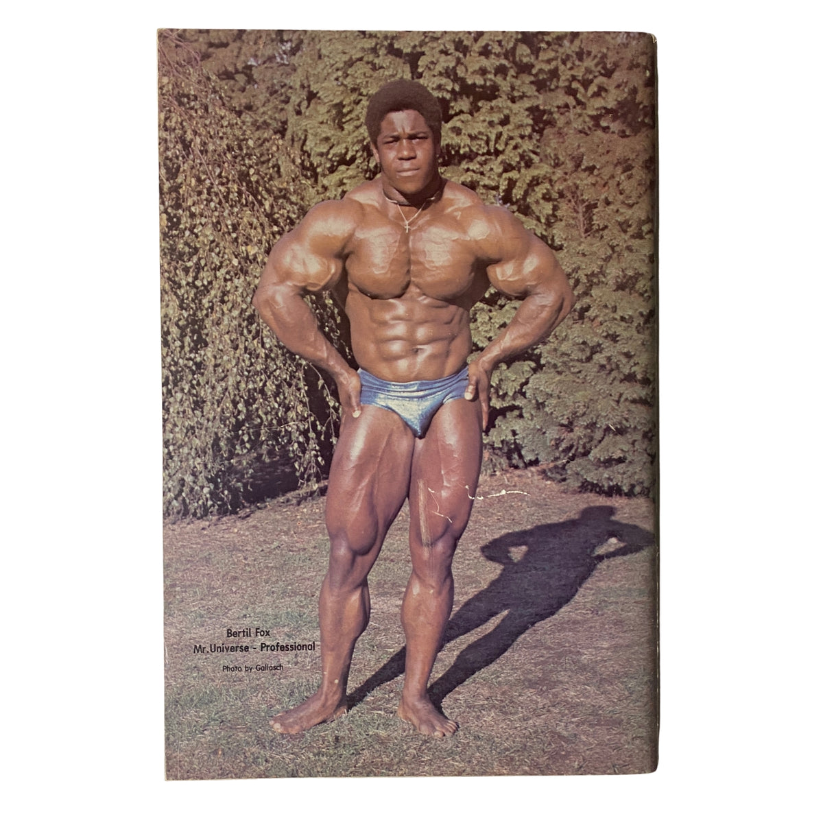 Image of bodybuilding champion, featuring Dave Johns from IronMan Magazine March 1979 Vol. 38 No. 3, showcasing exceptional muscle definition and posing, a highlight of vintage bodybuilding history.