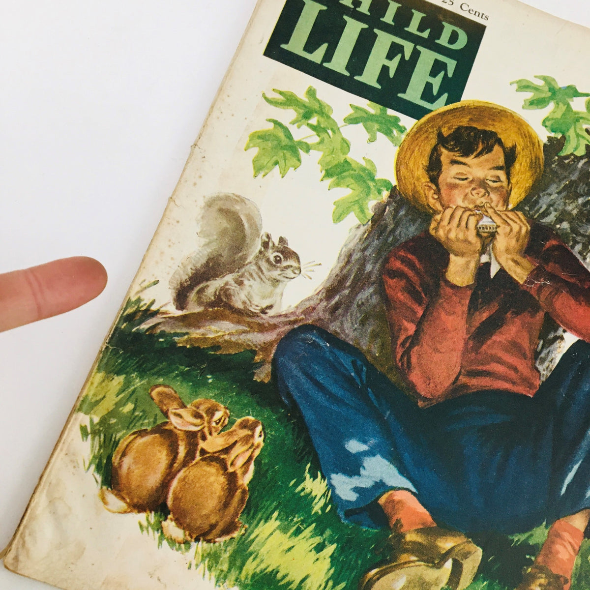Close-up of Child Life Magazine April 1946 cover showcasing a boy playing harmonica surrounded by a squirrel and rabbits, labeled 'Child Life'.