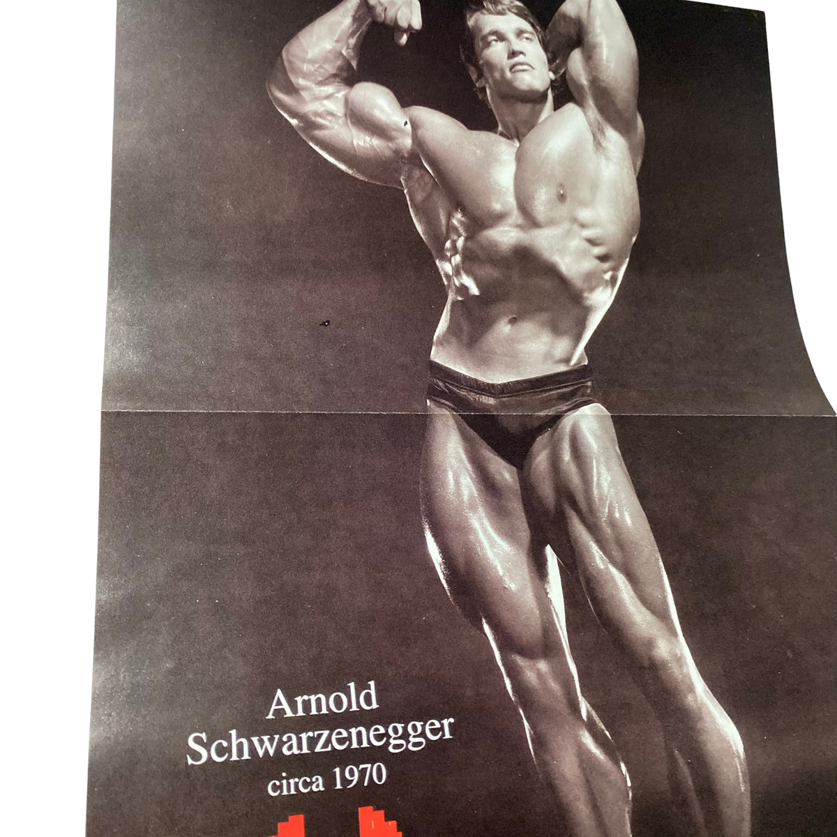 Vintage poster of Arnold Schwarzenegger from IronMan Magazine April 1994 Vol 53 No 4, showcasing his bodybuilding physique from circa 1970.