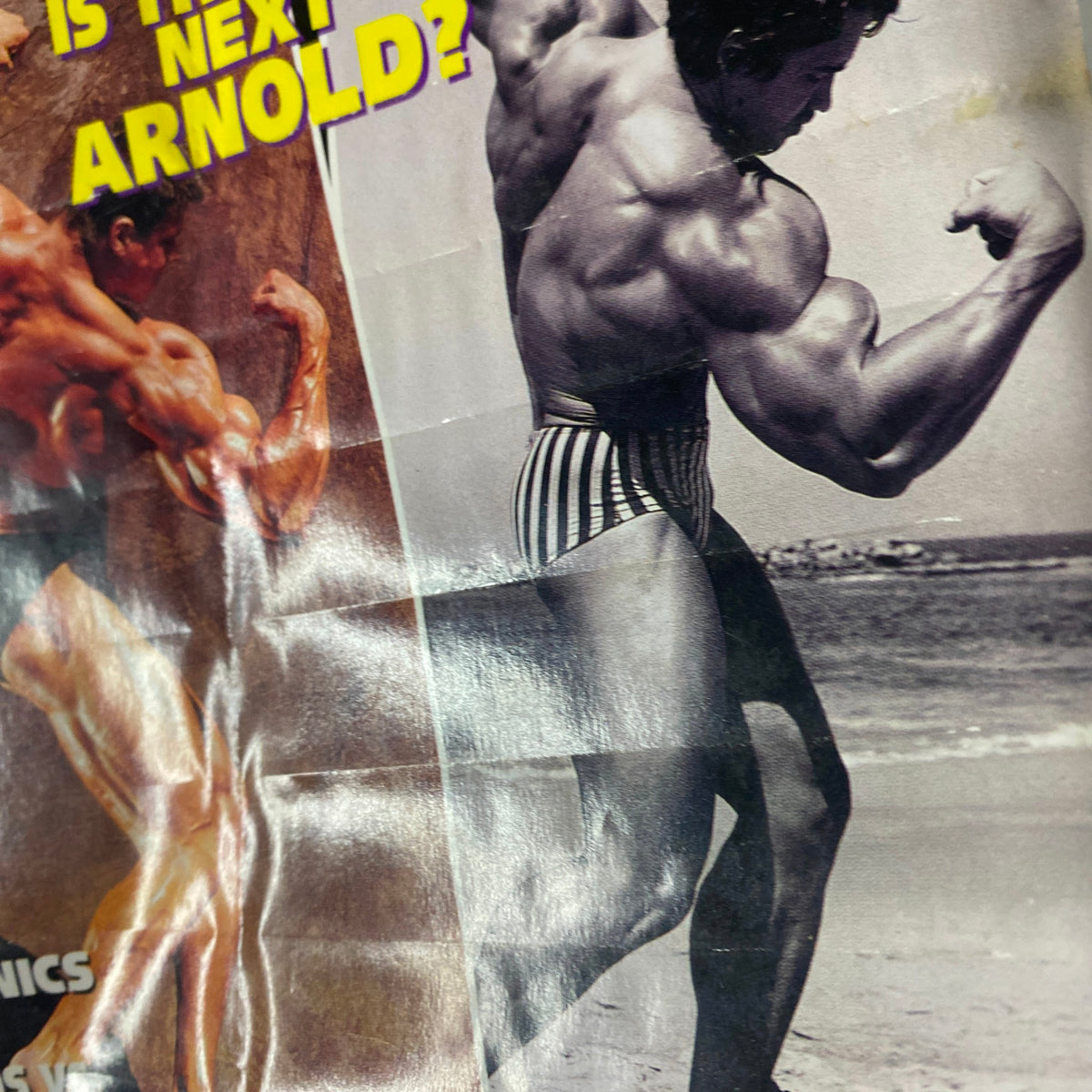 IronMan Magazine May 1994 cover showing a muscular bodybuilder in striped shorts, posing dramatically, with text questioning 'Is This the Next Arnold?'