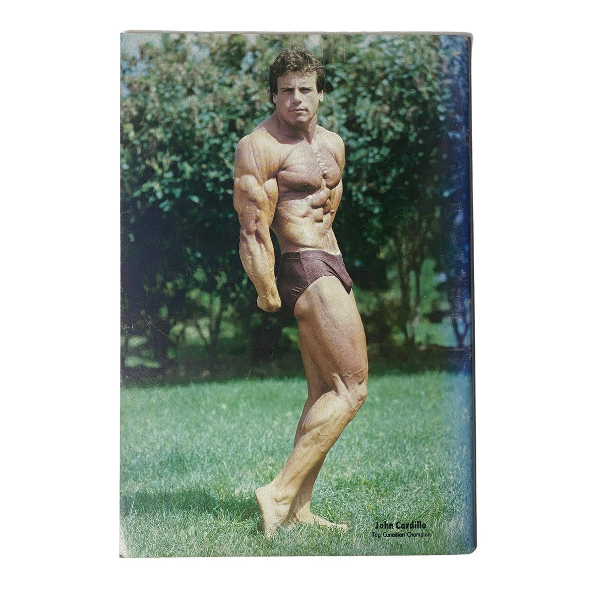 Back cover of IronMan Magazine January 1982 Vol 41 No. 2 displaying a professional photograph of a bodybuilder in a classic pose, highlighting fitness and bodybuilding themes.