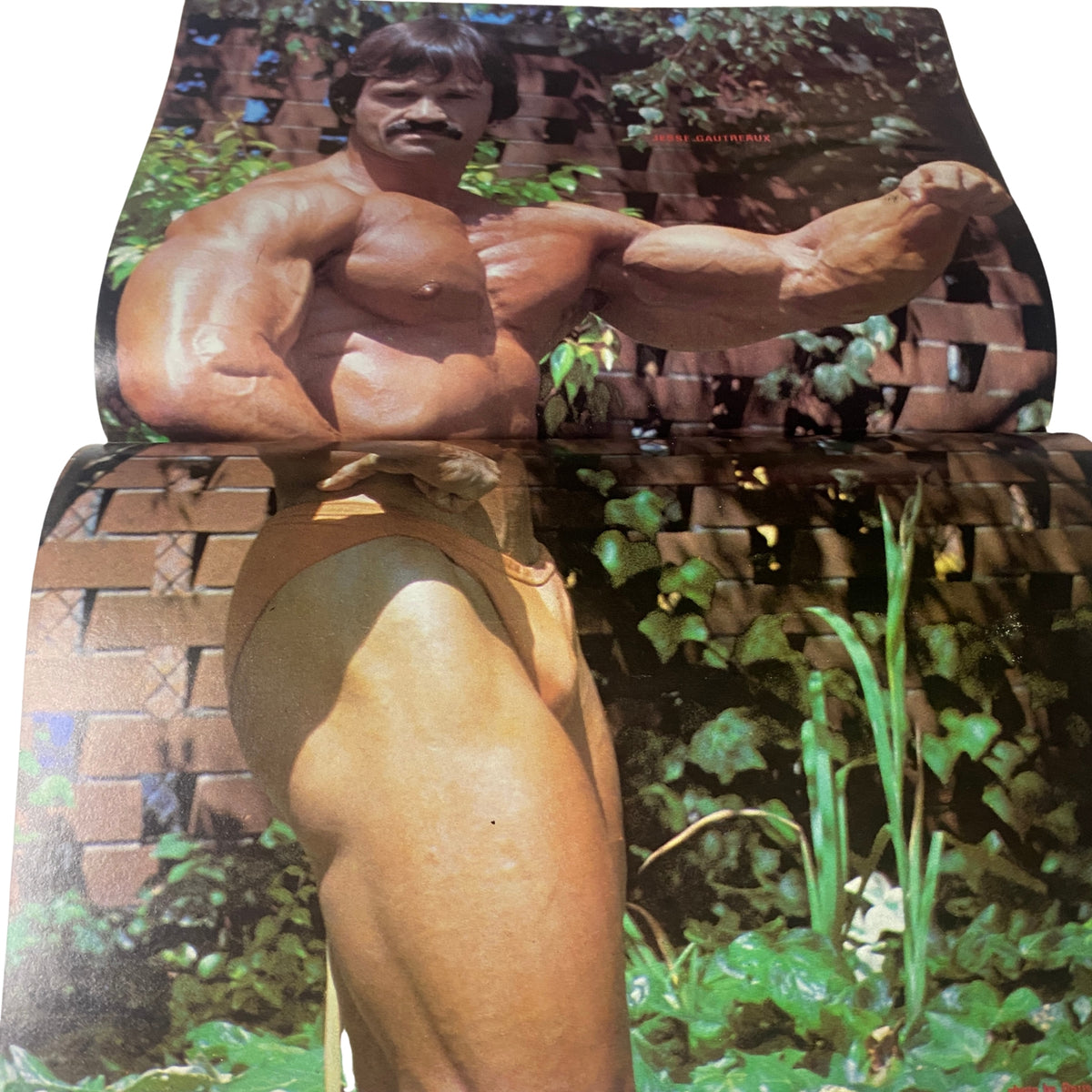 Color centerfold featuring Jesse Gautreaux from Muscle & Bodybuilder Magazine January 1983, highlighting his impressive physique amidst a lush outdoor background.