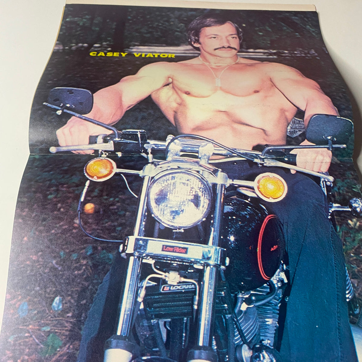 Muscle & Bodybuilder Magazine July 1981 featuring Casey Viator, showcasing the bodybuilder posing on a motorcycle, demonstrating his impressive physique in a forest setting.