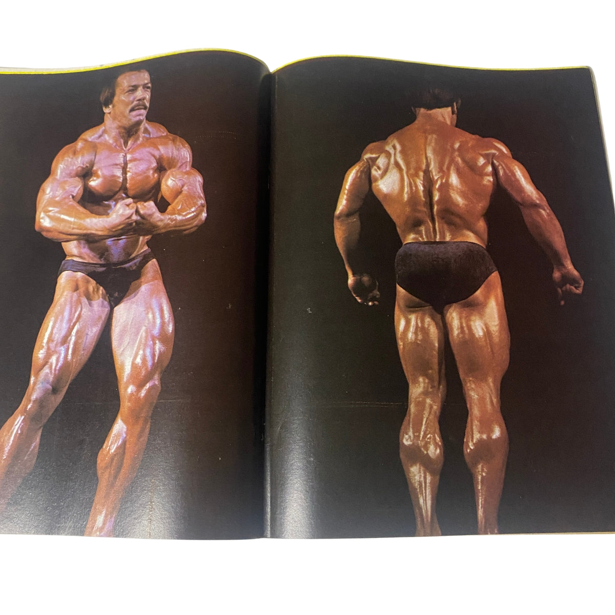 Centerfold page inside Muscle World Magazine January 1981, Vol 2 No. 3 displaying Arnold Schwarzenegger in a bodybuilding pose.