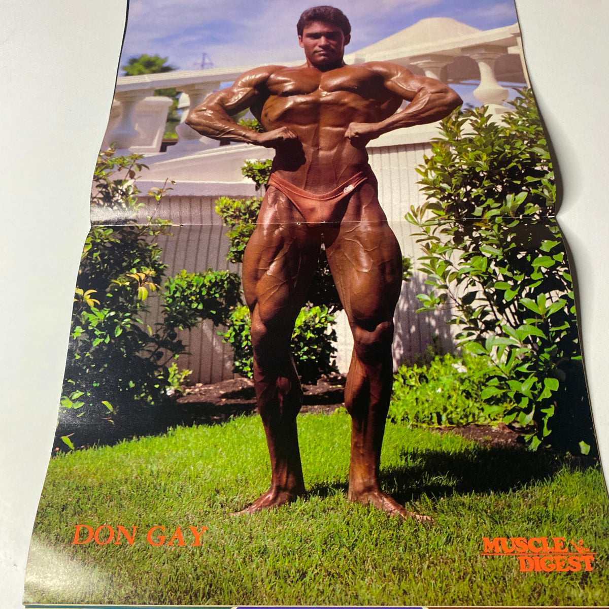 Centerfold image from Muscle Digest Magazine March 1983 featuring bodybuilder Don Gay posing in a natural outdoor setting, displaying impressive muscular definition.