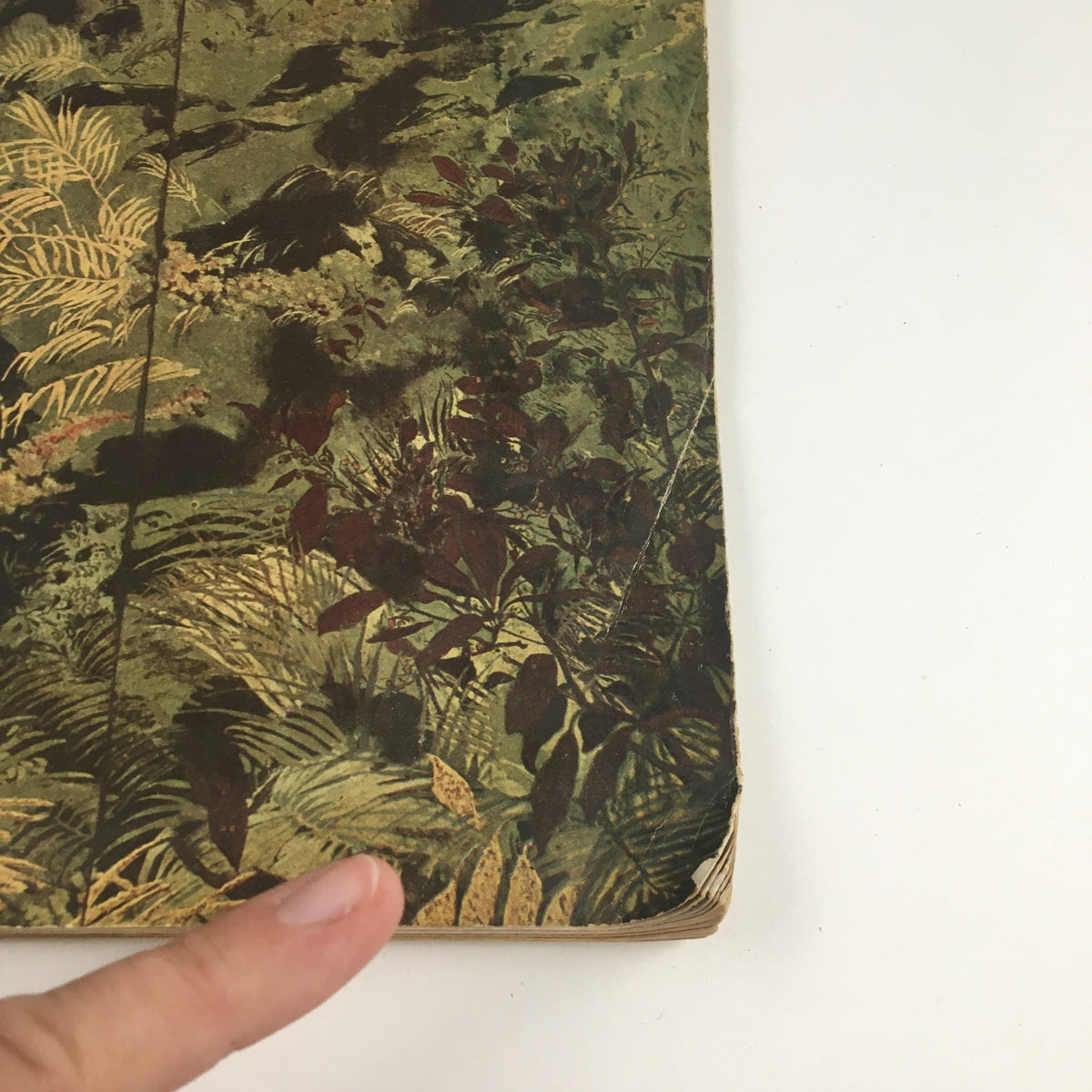 Side view of the France Illustration Magazine June 1949, highlighting the vintage artwork and detailed floral designs on the back cover.
