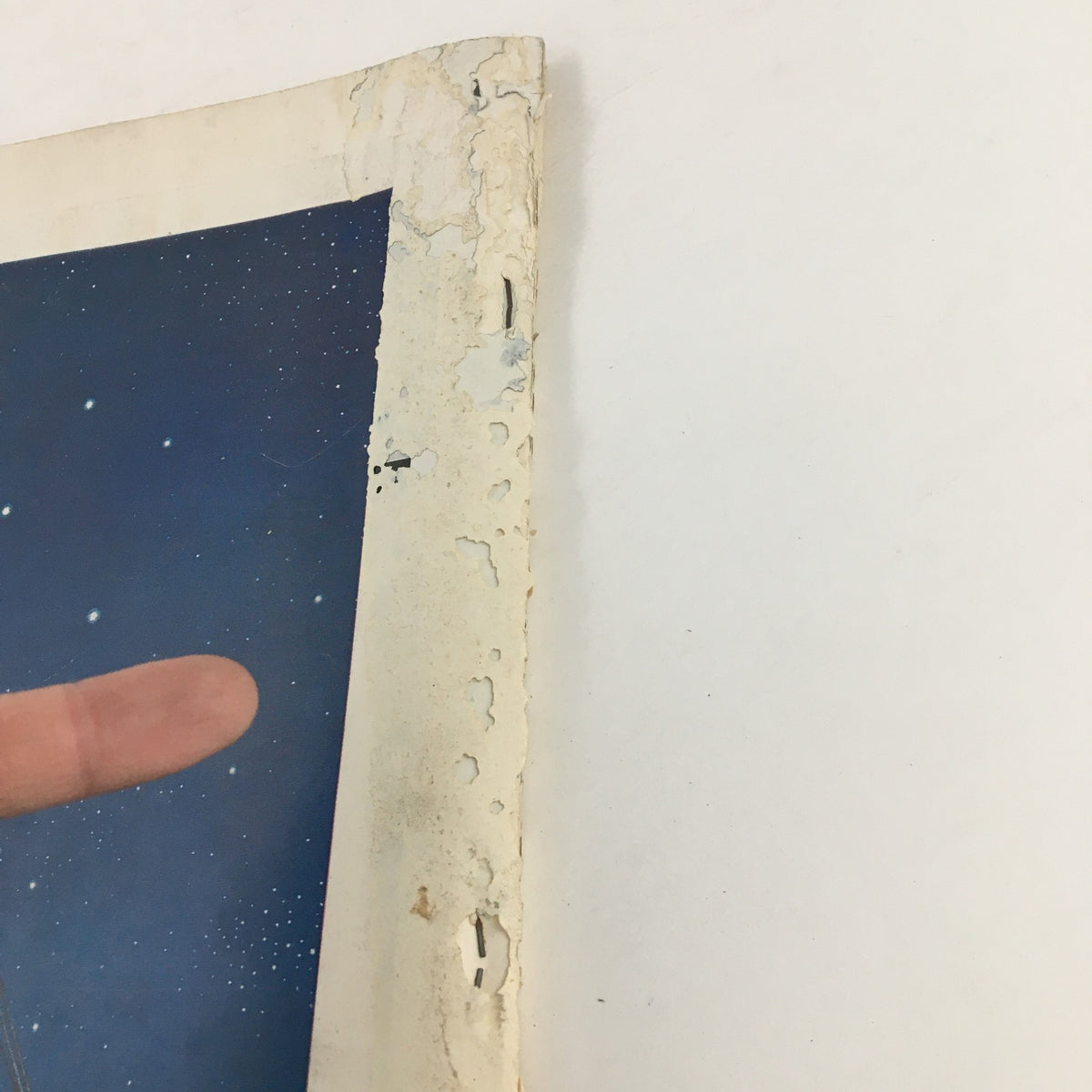 Detail of the worn edge of the Holiday Magazine November 1956, featuring the Illama 'Camel of the Andes' cover, showing signs of age with frayed corners and surface wear.