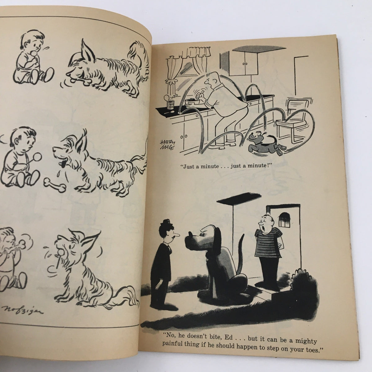 Best Cartoons About Cats / Dogs 1958 Lost & Found Section No Label