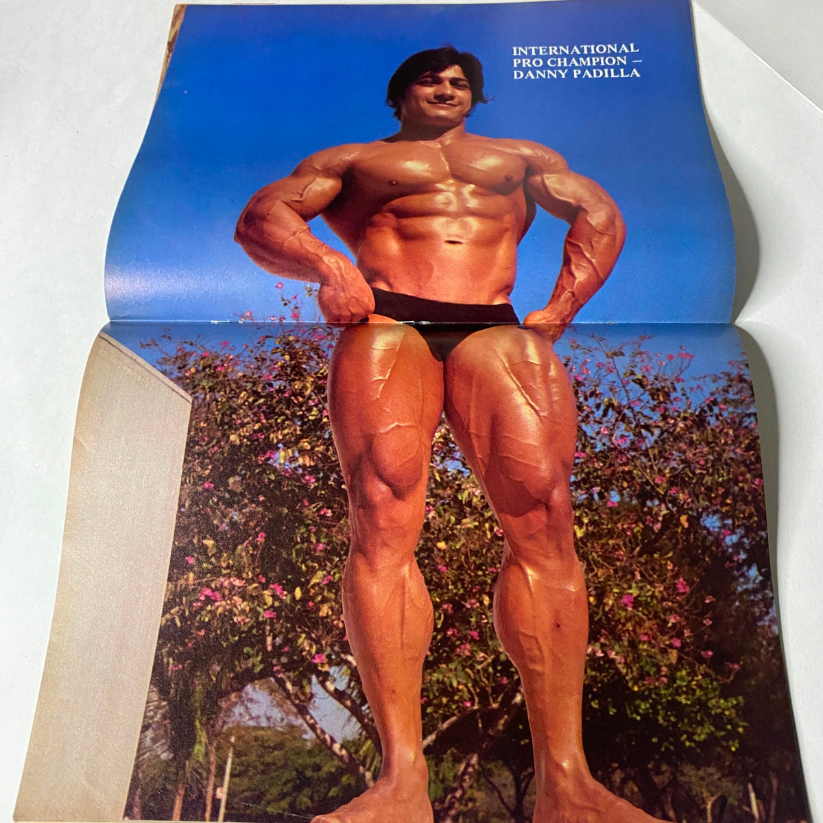 Centerfold of Muscle Training Illustrated June 1982, showcasing International Pro Champion Danny Padilla posing in a classic bodybuilding stance. Highlighting the physique and strength of early 1980s bodybuilders.