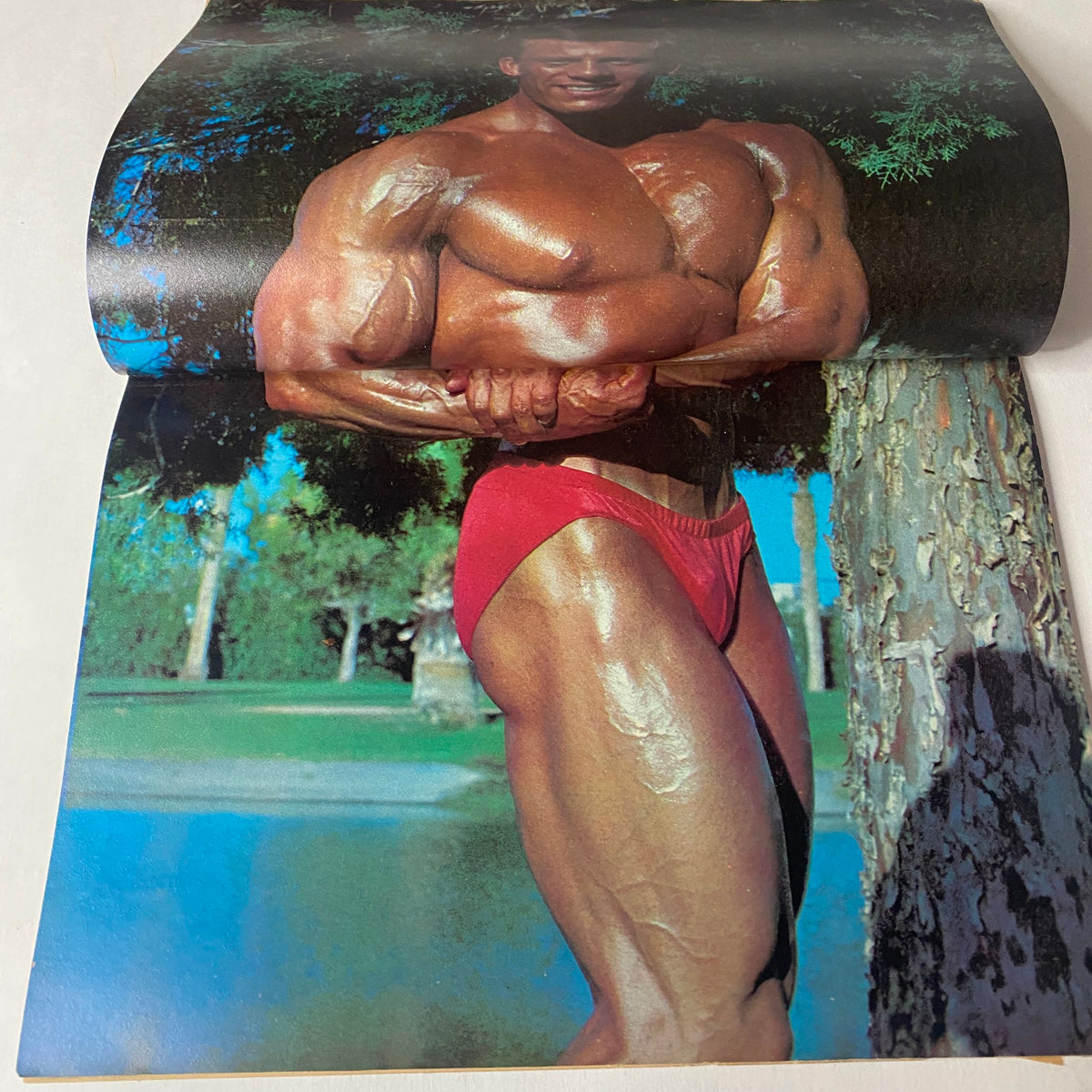 Full-color centerfold from Muscle Up Magazine June 1983 showcasing Richard Roy posing in a scenic outdoor setting, emphasizing his muscular physique and dedication to bodybuilding.