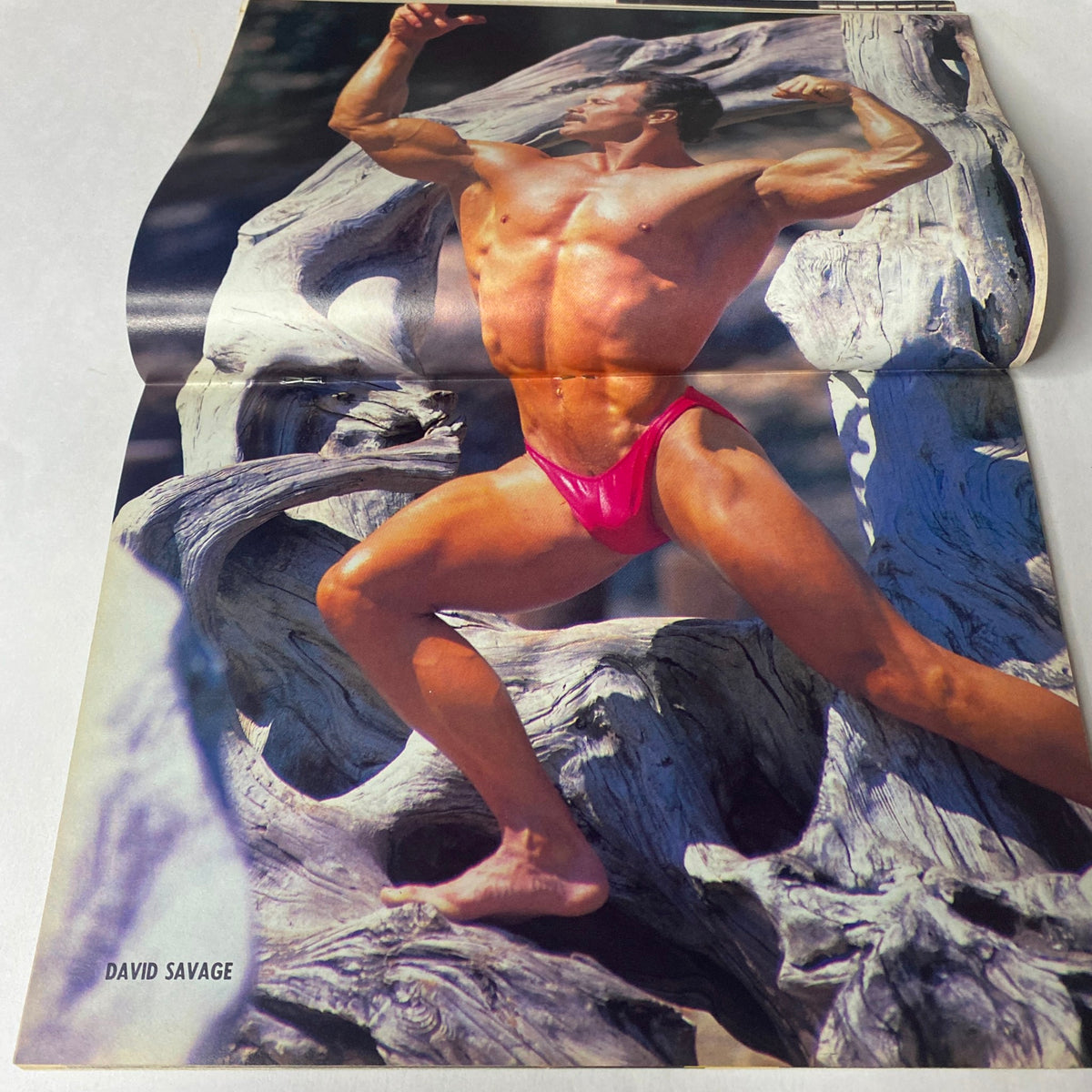 Centerfold from Natural Physique Magazine September 1989 featuring a muscular male model named David Savage in a dynamic posing position.