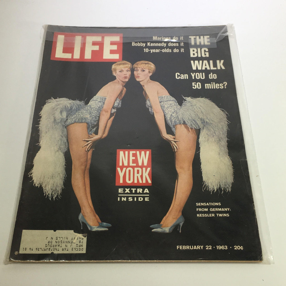 Cover of Life Magazine: Feb 22 1963 featuring the Kessler Twins from Germany, showcasing vintage glamour and pop culture of the early 1960s with a bold Life logo and striking visuals.