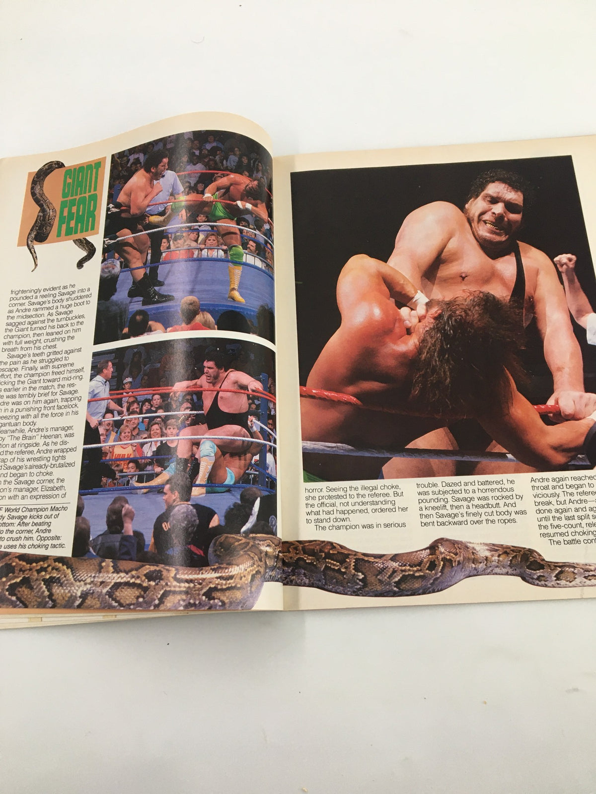 WWF Magazine February 1989 illustrating Andre the Giant in a wrestling match with a snake, emphasizing his iconic phobia.